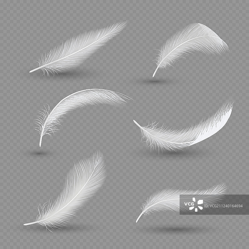 白色鸟类羽毛图标设置逼真图片素材