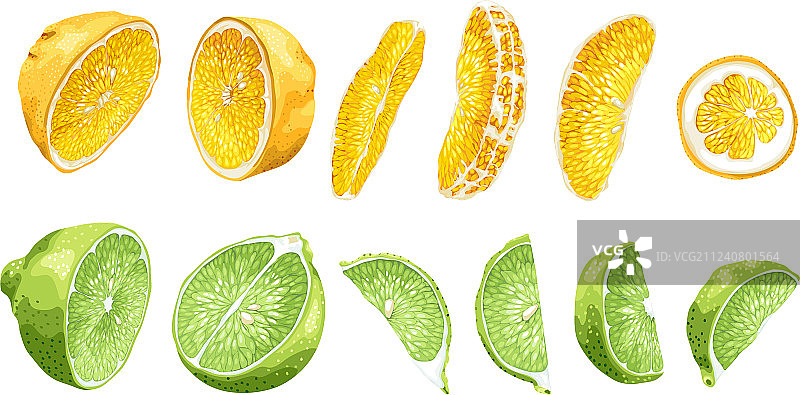 水果片和一半的酸橙和橙子图片素材
