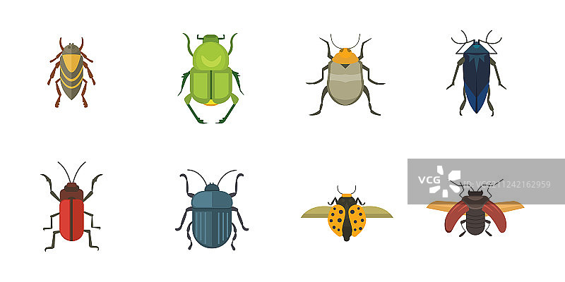 一套昆虫平面风格的图标设计图片素材