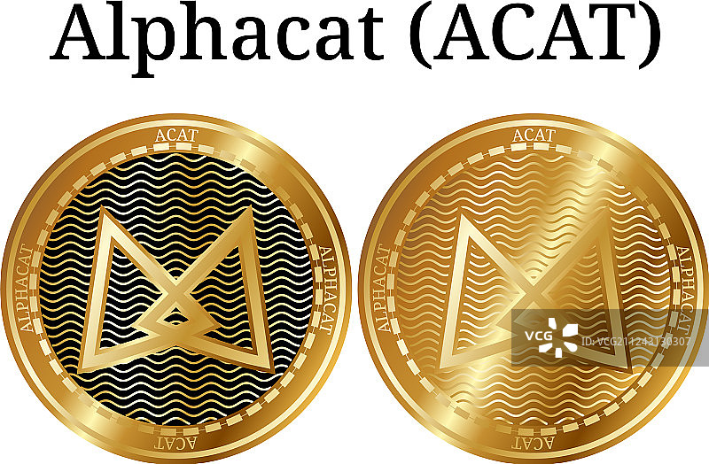 套物理黄金硬币阿尔法猫猫图片素材