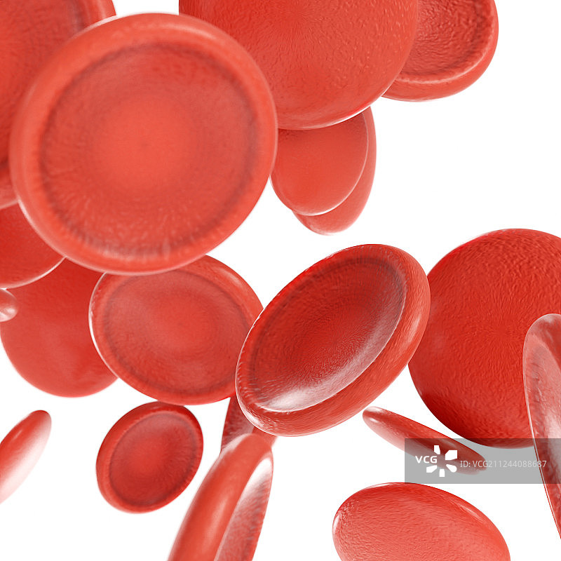 白底的三维血小板红细胞渲染素材图片素材
