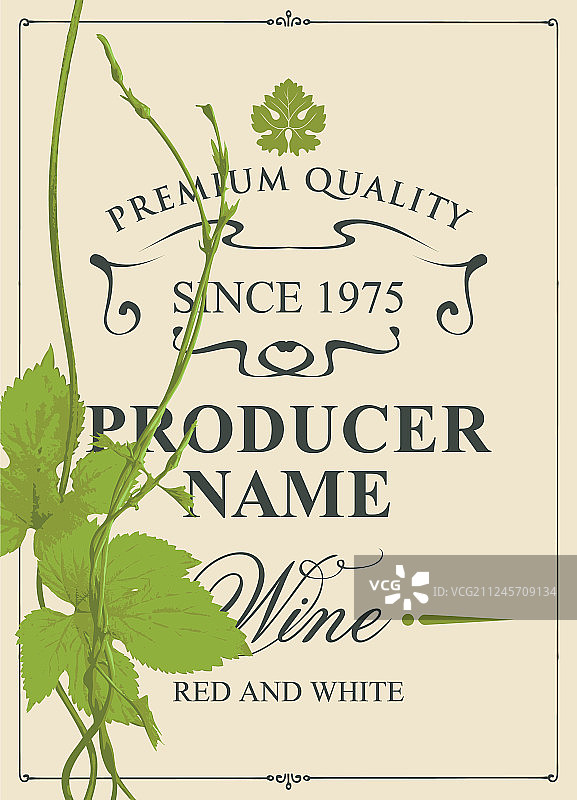 葡萄酒标签与绿色葡萄和葡萄叶图片素材