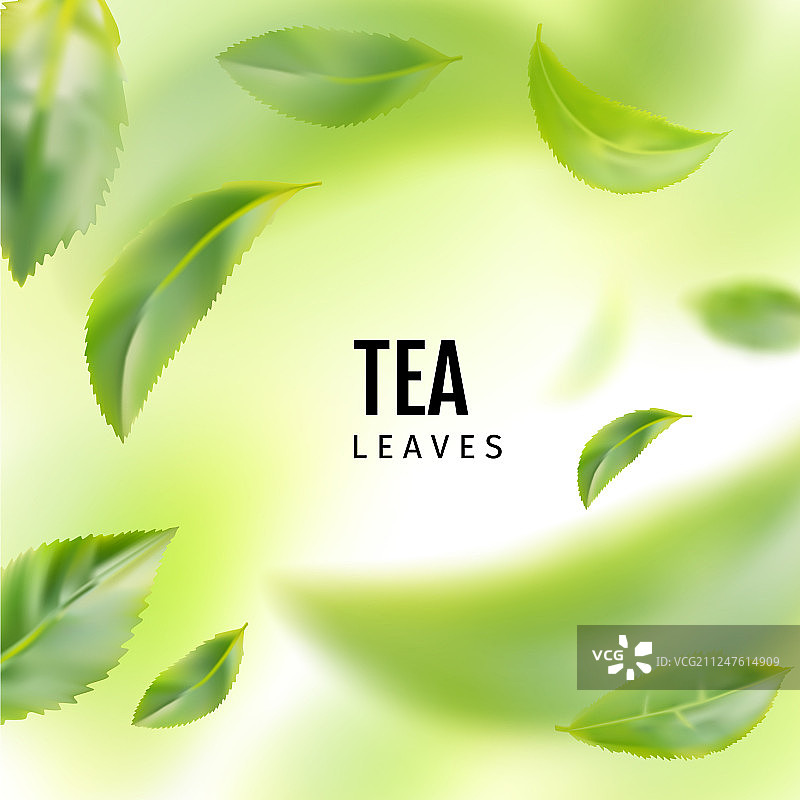 飞翔的新鲜绿茶叶背景图片素材