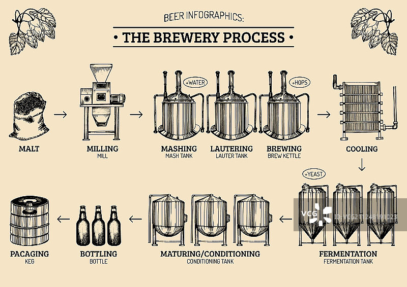 啤酒信息图表与图片素材