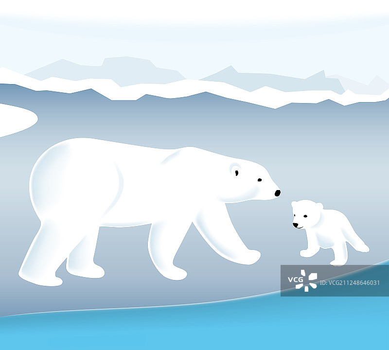 北极熊和它的幼崽在海上的冰面上图片素材