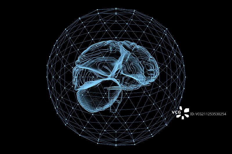 3D网络内的X光人体大脑图片素材