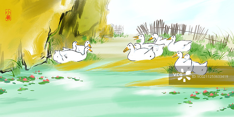 古典水墨画24节气小暑池塘边的白鹅图片素材