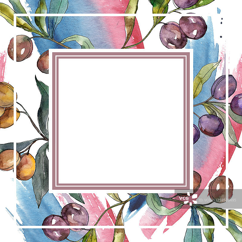 橄榄枝上结着黑色和绿色的果实。水彩背景插图集。边框装饰方形。图片素材