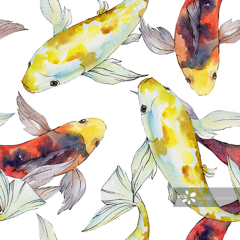 水生水下多彩的热带金鱼集。水彩背景插图集。无缝的背景图案。图片素材