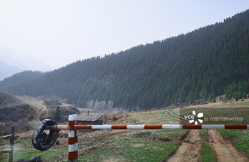 木栅自然保护区。哈萨克斯坦图片素材