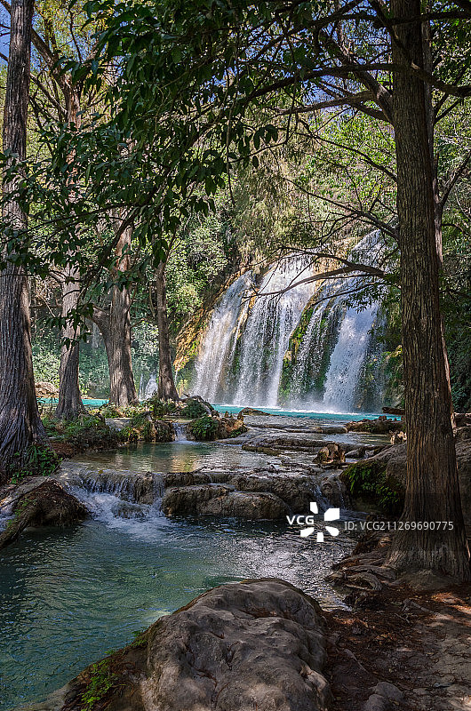 瀑布在繁茂的树叶，El Progreso，墨西哥图片素材