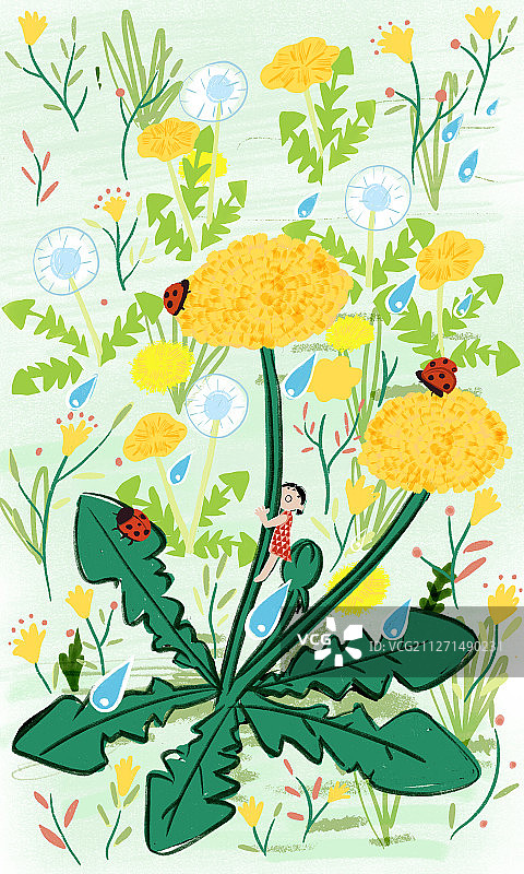 惊蛰节气小瓢虫蒲公英花朵和女孩插图图片素材