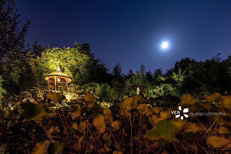 古代园林的夜景图片素材