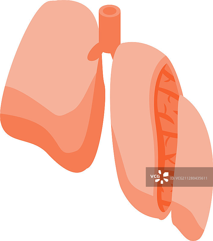 剖面图肺图标等长样式图片素材