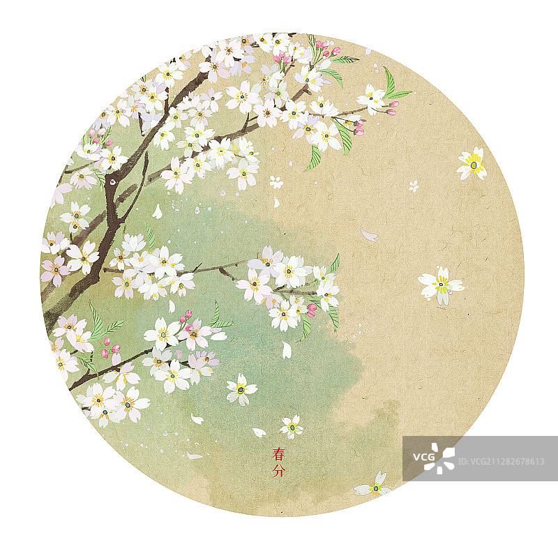 春分-樱花水墨画图片素材