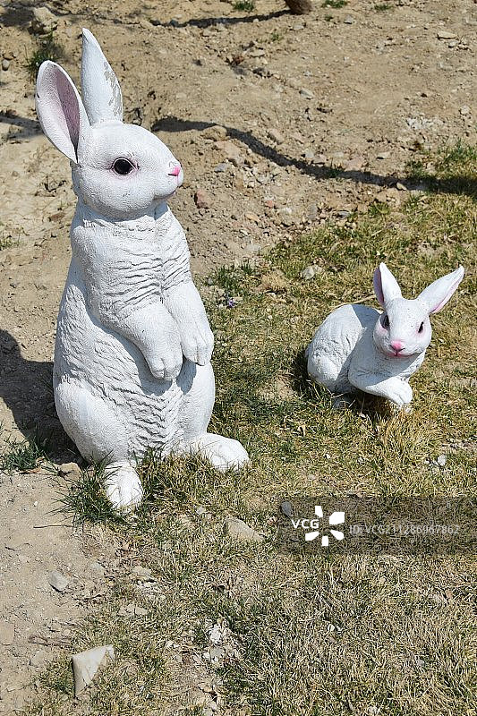 动物造型：兔子图片素材