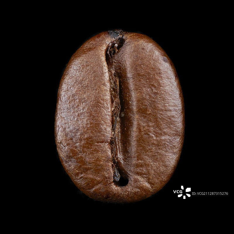 咖啡豆图片素材