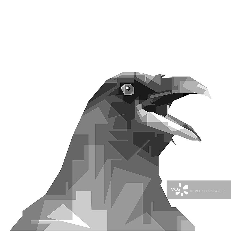 灰色黑乌鸦设计图片素材
