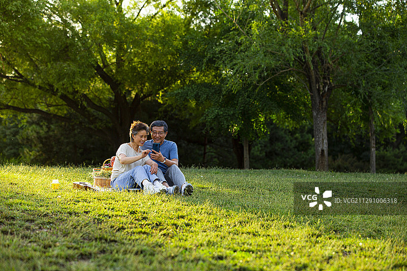 老年夫妻在户外公园野餐使用手机图片素材