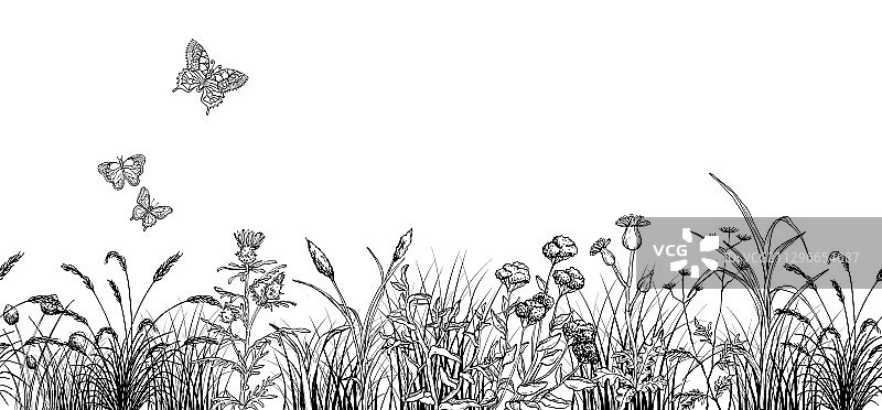 田野上的蝴蝶飞过花和草景观图片素材