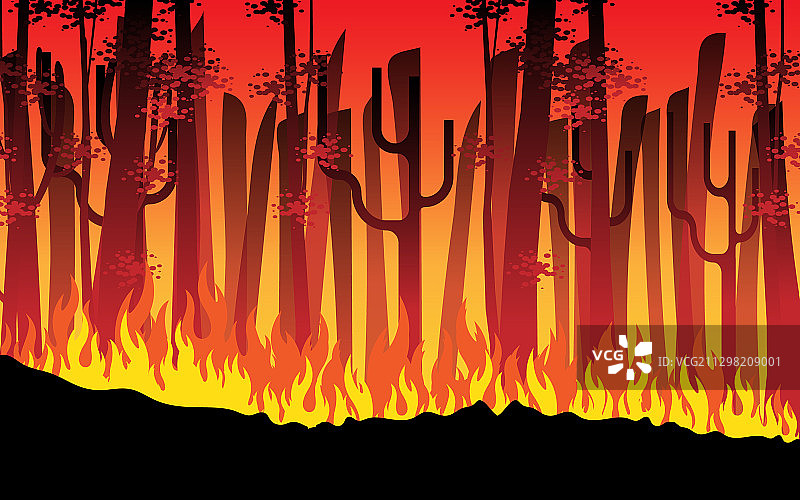 夜间森林里的火在燃烧图片素材