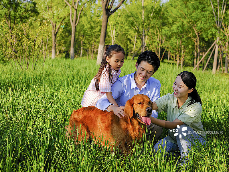 快乐的三口之家和宠物狗在公园玩耍图片素材