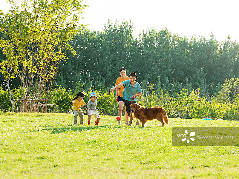 快乐的四口之家和宠物狗在公园玩耍图片素材