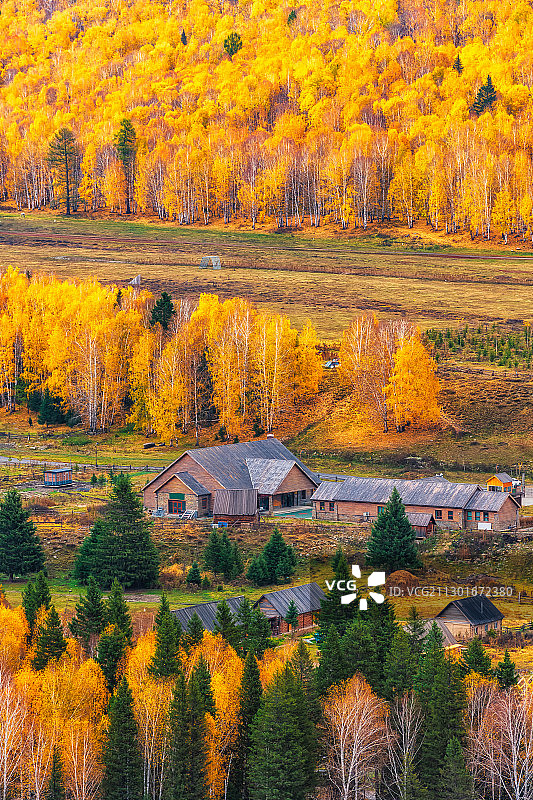 新疆阿勒泰喀纳斯景区禾木乡村落秋景户外风光高视角图片素材