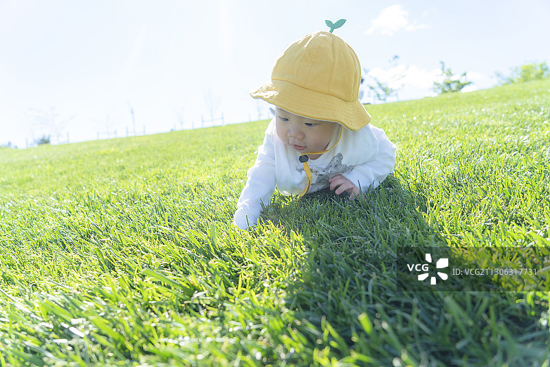 戴黄帽的男婴在草坪上学习爬行图片素材