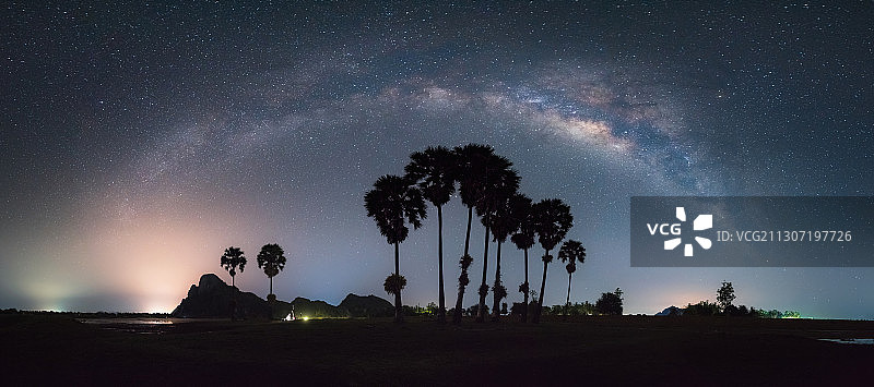 柬埔寨贡布省，夜晚星星映衬下的树木剪影图片素材