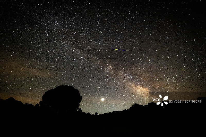 低角度的剪影的树木对星场在晚上，西班牙图片素材