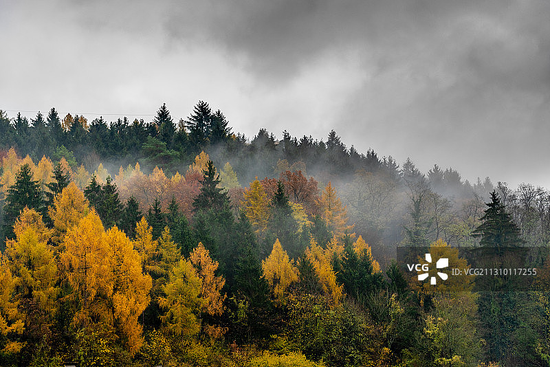 德国秋天，天空映衬着森林里的树木图片素材