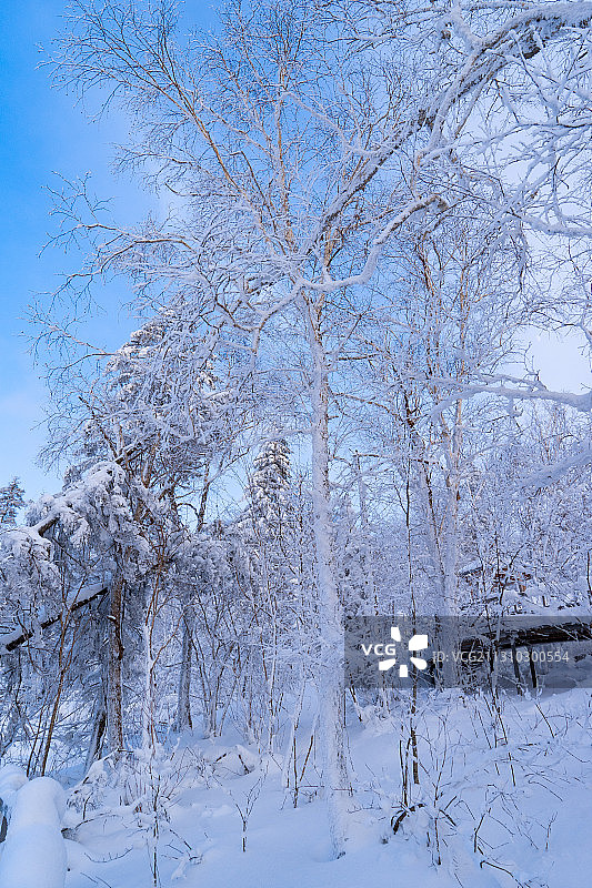 冬天雪景图片素材