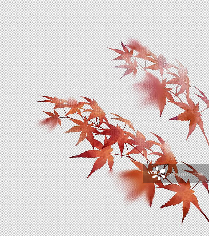 中国风手绘红色枫叶素材图片素材