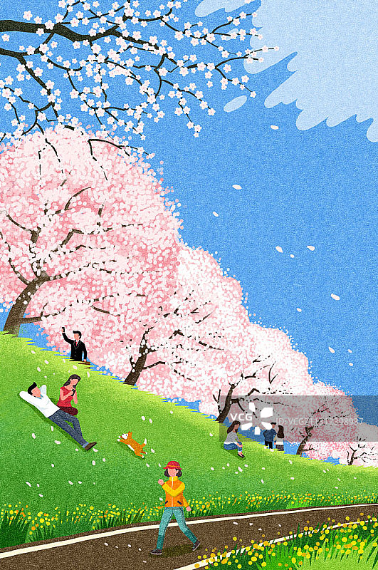 图为人们在公园的樱花树下享受时光图片素材