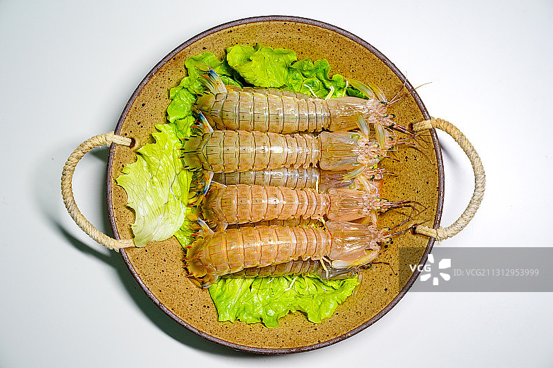虾蛄（皮皮虾、攋尿虾）图片素材