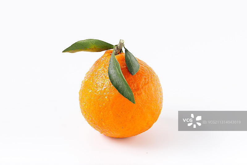 放在白色背景上的新鲜绿色水果青见柑橘图片素材