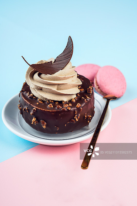 美味可口的提拉米苏蛋糕图片素材