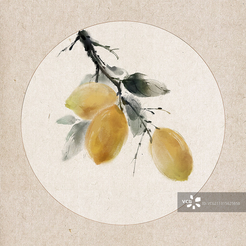 中国风古风水墨写意水果插画 ——柠檬图片素材