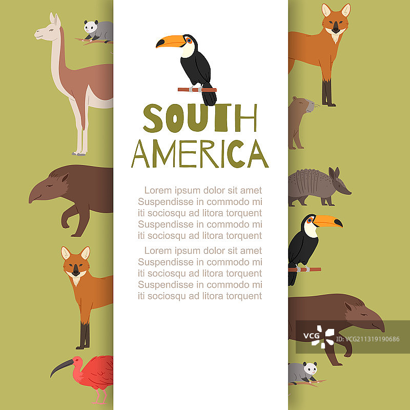 南美洲的旗帜上刻有动物图片素材