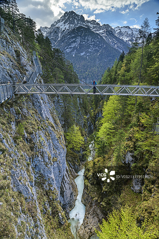 徒步旅行的人站在Leutasch的吊桥上，Leutaschklamm, Geisterklamm, Wetterstein山脉，蒂罗尔，奥地利图片素材