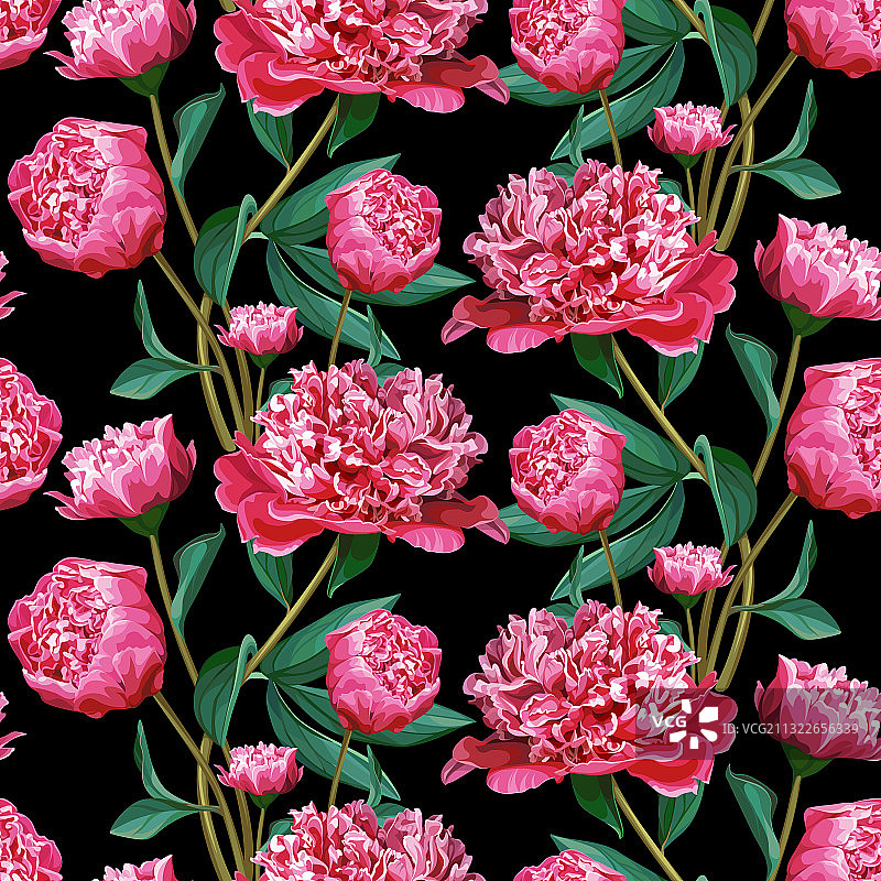 无缝花卉图案与粉红牡丹图片素材