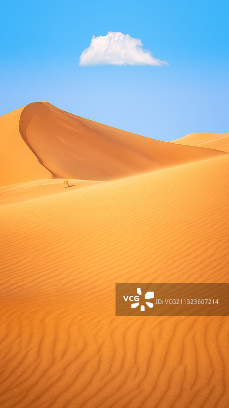 内蒙古自然风光：阿拉善左旗腾格里沙漠图片素材