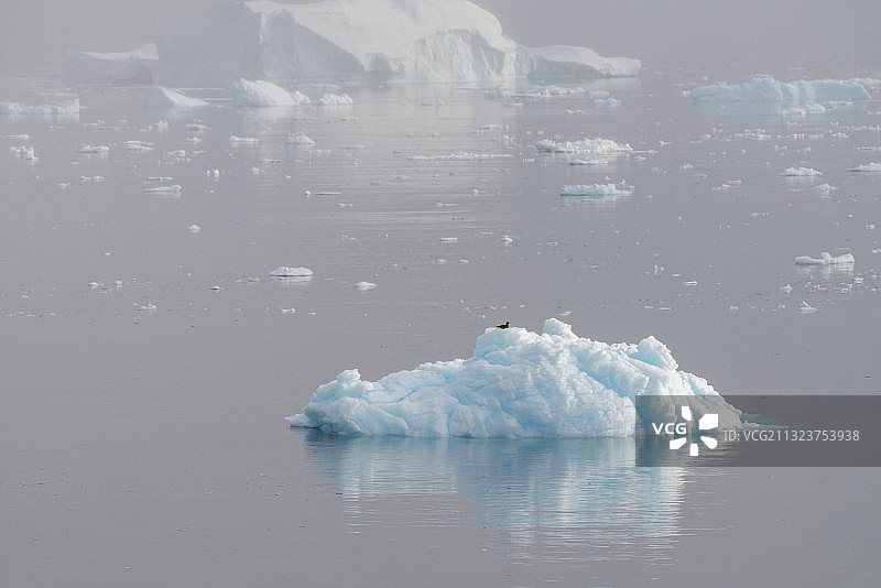 南极洲海洋冰山的风景图片素材