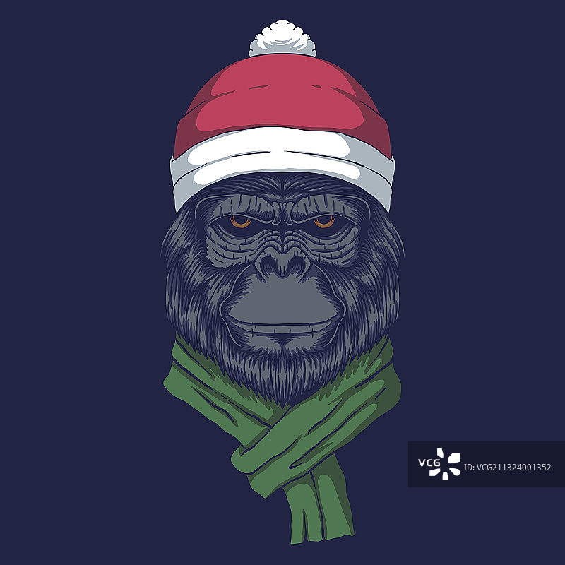 圣诞猩猩戴着圣诞帽图片素材