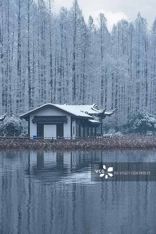 浙江杭州西湖雪景冬天图片素材