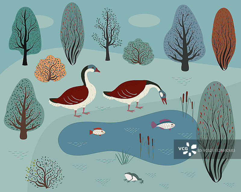 两只大雁在森林湖上，秋天的森林和图片素材
