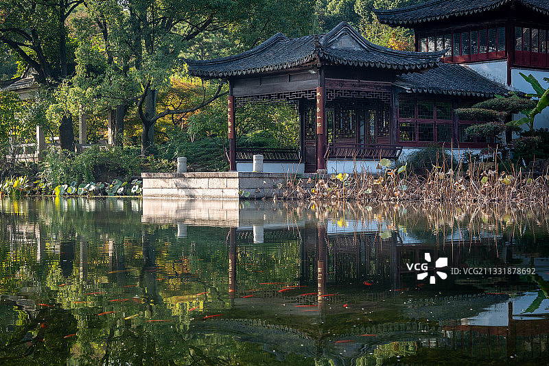 清晨时分的太仓南园，平静的水面倒影着古色古香的江南传统园林图片素材