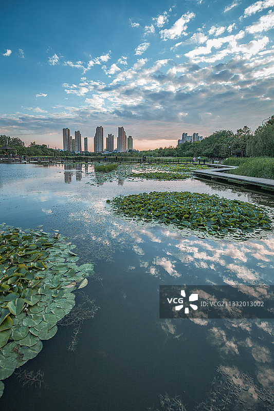 中国辽宁大连湿地公园黄昏图片素材