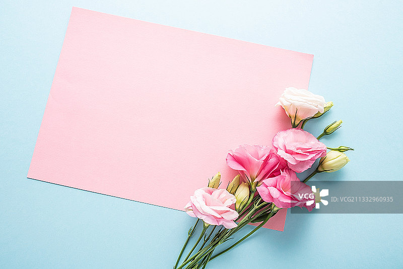 洋桔梗花鲜花和空白便笺纸在浅蓝色背景上图片素材